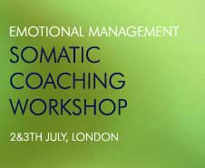 Emotional Management